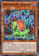 (C) Predaplant Lilizard BLZD-EN008 - Ships 5/8/26
